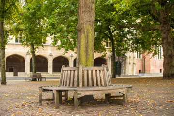 Fototapeta na wymiar a wooden bench in the park
