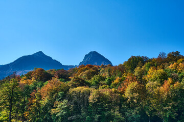 landscape in the morning