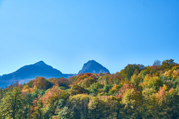 mountain in autumn