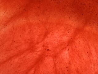 abstract background fantasy illusion rarity imagination virus bacteria sensation