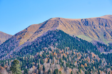 landscape with blue sky