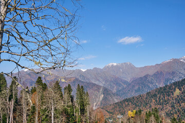 view from the mountain