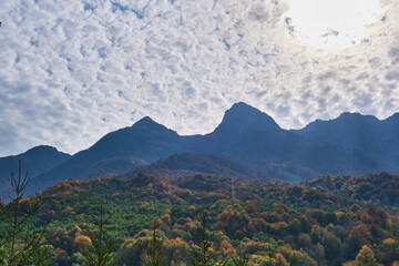 autumn in the mountains