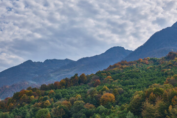 autumn landscape in the mountains