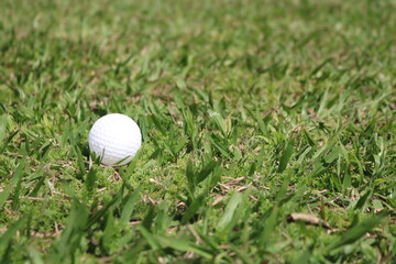 golf ball on green grass