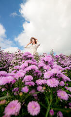 Margaret flower field and woman,Portrait of teenage girl in a garden of flowers, Young happy asian girl in Margaret Aster flowers field in garden at Chiang Mai