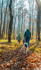 Fototapeta premium Walking mother, daughter and dog in the autumn forest. View from the back. Green grass, fallen leaves, tree trunks and blue sky. The concept of a happy family.