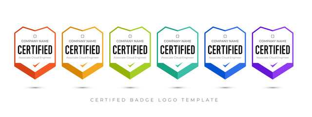 Set of company training badge certificates to determine based on criteria. Vector illustration certified logo design.