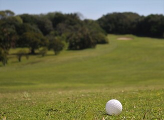 golf ball on green