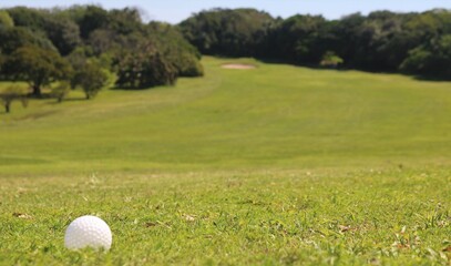 golf ball on the course