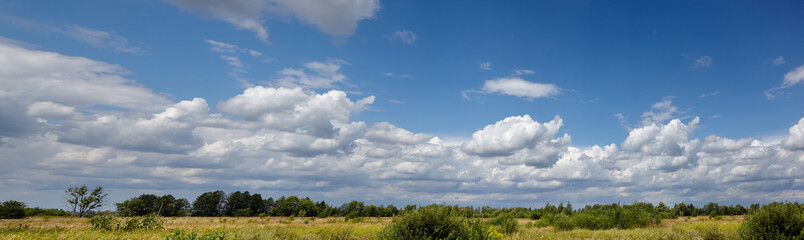 Panoramic photo of summer forest on the horizon against the blue sky. Beautiful landscape of green trees and blue sky background