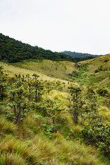 landscape in the mountains