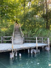 Obraz premium Wooden stairs among the trees next to the water