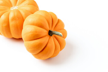 Fresh miniature pumpkin on an isolated white background