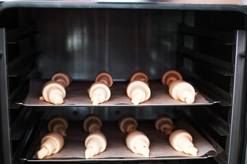 raw croissants on a platter in the oven prepared for baking