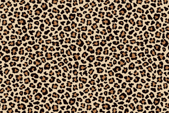 Leopard spotty fur horizontal texture. Vector