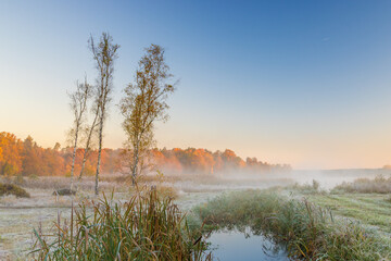 Schlosspark Rheinsberg mit Nebel über dem See am Morgen