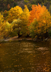 autumn in the Rhodope Mountains Bulgaria_2