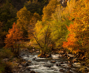 autumn in the Rhodope Mountains Bulgaria_3