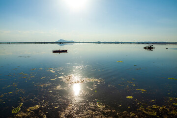 Shikara boat Dal lake, Srinagar, Jammu and Kashmir, India