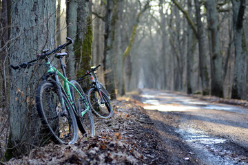 Rowery na leśnej drodze