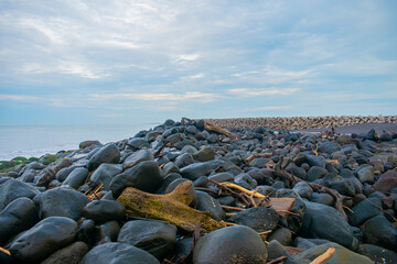 roca con palo en orillas de playa  playa champerico retalhuleu