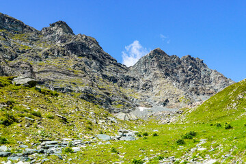 Fototapeta na wymiar alpine meadow in summer, Olen Valley, Monte Rosa Mountains, Italy 