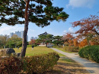 autumn in the park