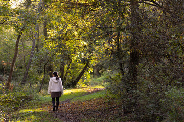 Fototapeta premium Young woman walking in forest