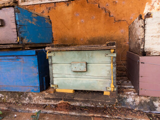 Apicultura caixas abelhas