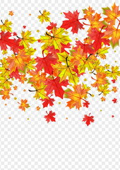 Red Leaf Background Transparent Vector. Floral Beautiful Frame. Green Celebrate Leaves. Shape Plant Template.