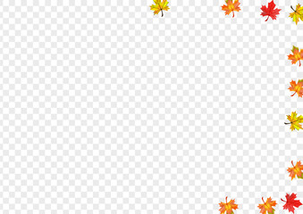 Ocher Floral Background Transparent Vector. Plant Isolated Texture. Green October Leaf. Design Leaves Frame.