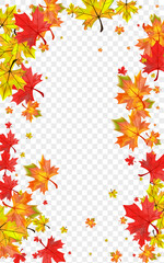 Obraz premium Orange Plant Background Transparent Vector. Leaves Down Design. Golden Forest Foliage. Celebrate Leaf Template.