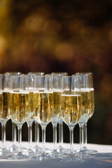 Close-up shot of glasses of champagne in a row on the champagne table, to celebrate, get sick, cocktail, glasses