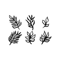 Little branches and floral doodles, hand drawn sketch drawings of plants, branches and leaves. Vector illustration.