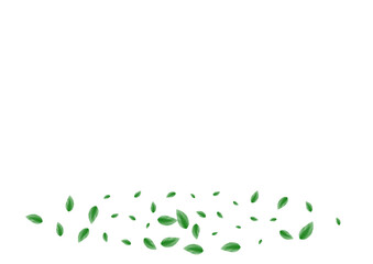 Green Vegetation Background White Vector. Leaf Food Texture. Clean Card. Greenish Style Design. Plant Blend.