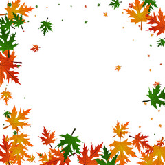 Red Leaves Background White Vector. Foliage Giving Template. Green Wallpaper. Tree Pattern. Brown Maple Season.