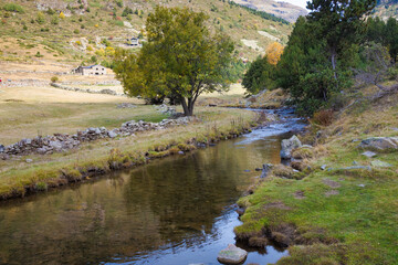 Fototapeta na wymiar View of the river Incles that crosses the Vall d'Incles between forests and pastures. Andorra