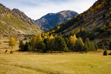View of a forest in the middle of autumn where the leaves change to ocher colors, turning the Incles valley into a very picturesque place. Andorra