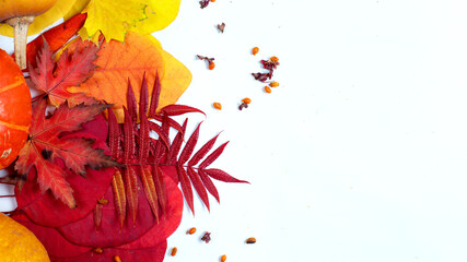 Frame with autumn leaves and pumpkin. Autumn composition.