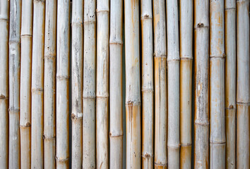 Fototapeta premium Wall pattern designed with bamboo.