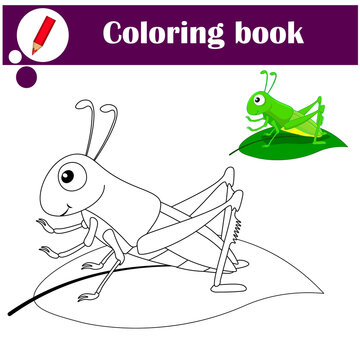 Coloring pages. Cute green grasshopper on a leaf