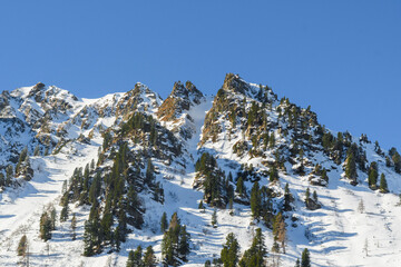 snow covered mountains