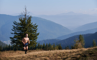 Naklejka na ściany i meble Young sportsman with naked sports torso running on grassy meadow on background of mountain panorama. Professional trail runner jogging in mountains.