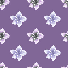 Hawaiian plumeria flower seamless pattern. Exotic tropical wallpaper.