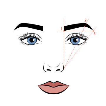A woman's face with an eyebrow scheme. Eyebrows tutorial