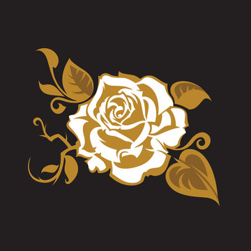 image of rose bud isolated on black background