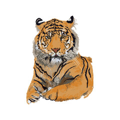 Hand drawn tiger portrait head vector isolated illustration. Big wild cat. Siberian tiger, Amur tiger, Bengal tiger Logo. Symbol of Chinese New Year 2022. Wildlife Art