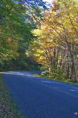 Fototapeta premium Fall Colors on the Blue River Parkway