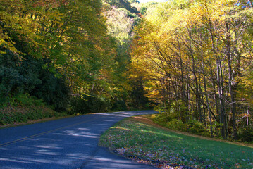 Fall Colors on the Blue River Parkway